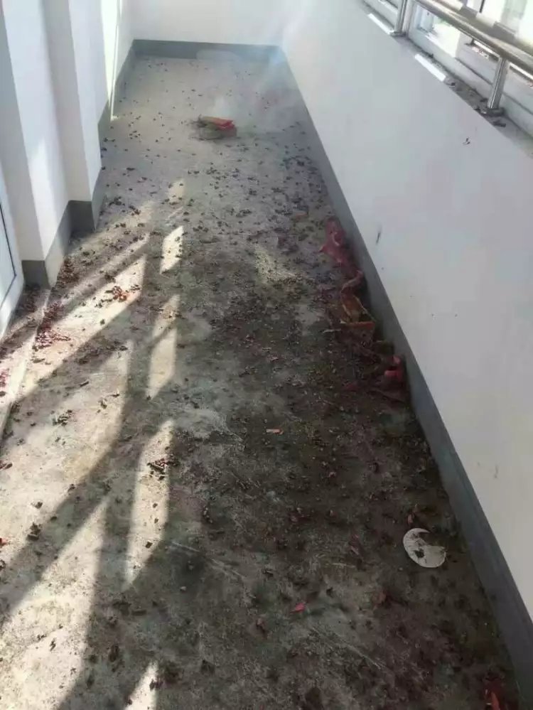 【開工喜訊】恭喜公園南苑陸先生開工大吉！