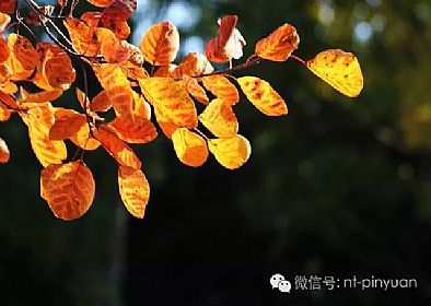 【大事記】輝煌八周年-第三季度員工表彰大會(huì)！